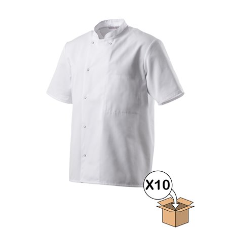 Robur VESTE Mixte INOX MC X10